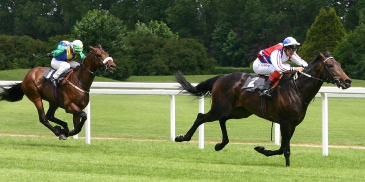 Melbourne Cup Betting Tips Suggest a New Winner