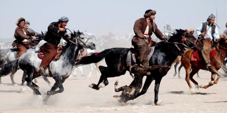 Unnecessarily Rough Sports