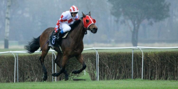 This Is the Best 2023 Horse Racing Calendar