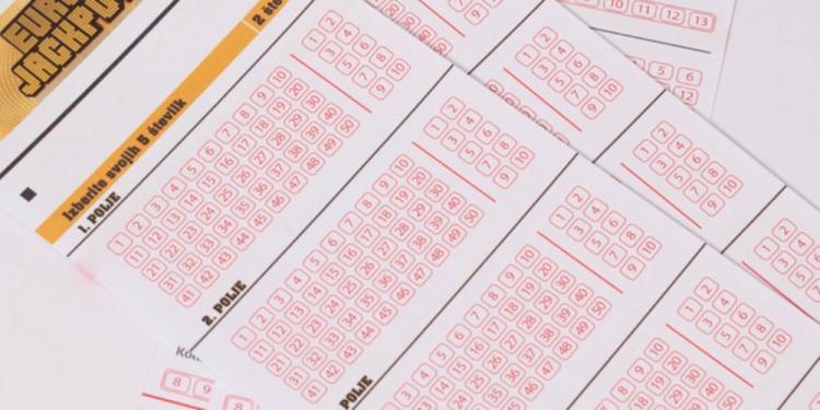 Differences Between Bingo And Lotto – Quick Guide