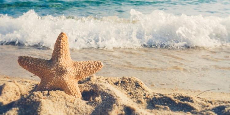 Best Beach Casinos Worldwide: 2023 Destinations For All Budgets