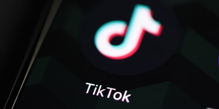 Best TikTok Accounts For Gamblers – Users To Follow For Good Info