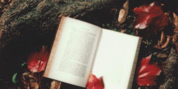 Best Fiction Books About Gambling – Phenomenal Casino Reads