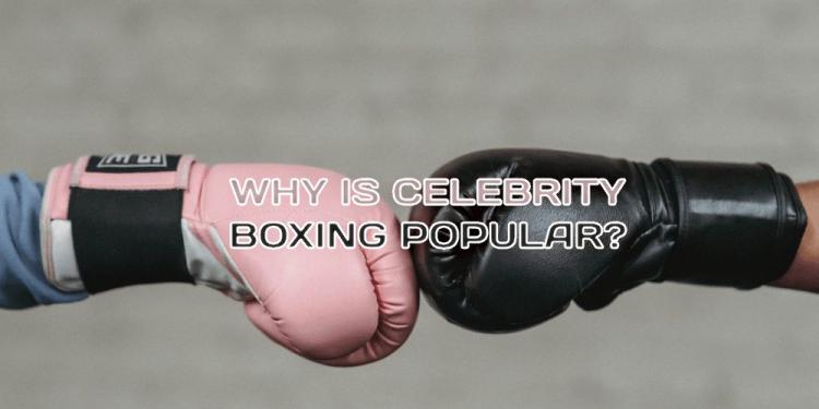 Why Is Celebrity Boxing Popular? – From Jake Paul To Idubbbz