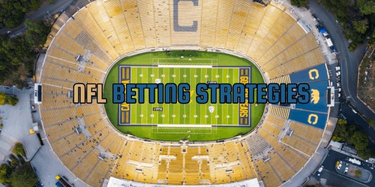 NFL Betting Strategies – Learn How To Win More On Your NFL Bets