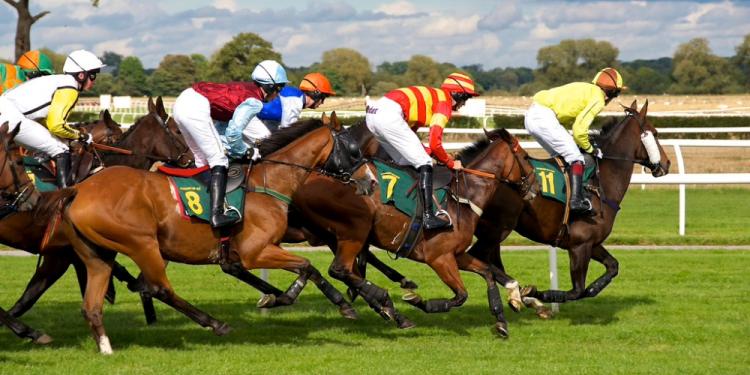 Learning the Basics of Horse Racing Betting
