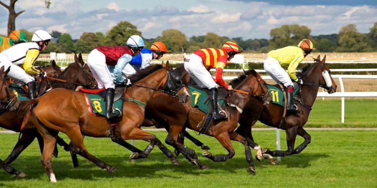 Best Bets To Begin Horse Race Betting To Make Money
