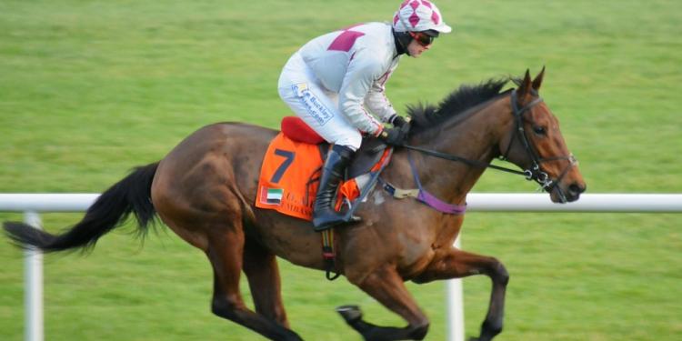 The Dublin Racing Festival 2024: Odds, Dates, And Betting Tips