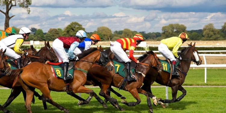 7 Useful Horse Betting Tips – Great Mistakes To Not Make In 2024