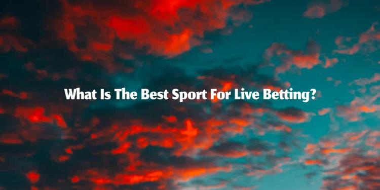 What Is The Best Sport For Live Betting? – Top 5 Sports Today