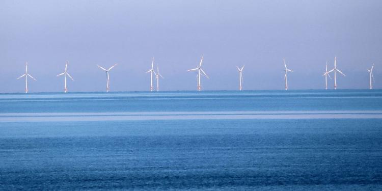 How Do Offshore Gambling Sites Work? – Law Explanation In 2024