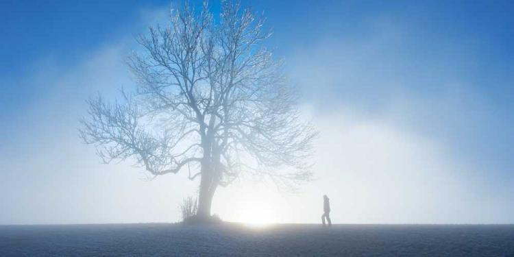 Winter Olympics Alternatives For 2025 – How To Bet Right Away?