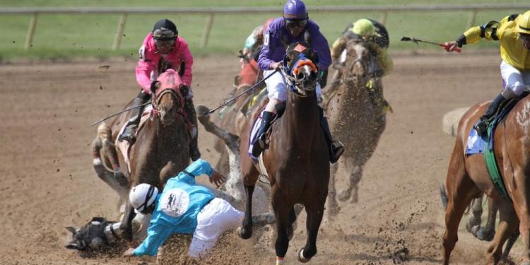 Find Out What Happens To Injured Racehorses After The Race