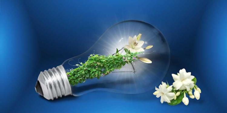 Sustainable Gambling Practices For 2025 – Things We Can Do Too!