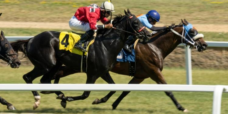 Seven Most Profitable Horse Racing Bets For New Bettors
