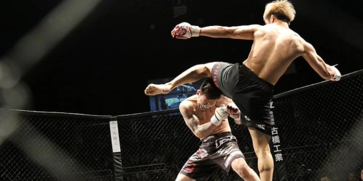 Dangers Of MMA: What Every New Sports Bettor Should Know