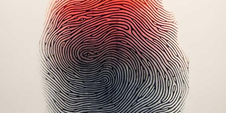 Crime Rates In Las Vegas – Should You Walk Around The Streets?