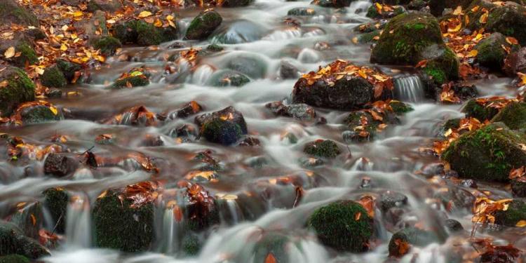 Top 6 Slots For The November Holidays – One Slot For Each Days!