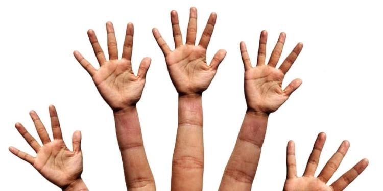 A Complete Guide To Online Power Slap Betting