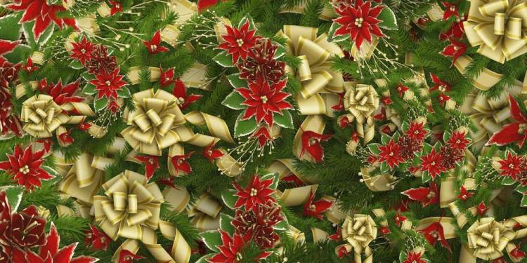 Best Casino Sites For Christmas 2025 – Picks For Different Tastes!