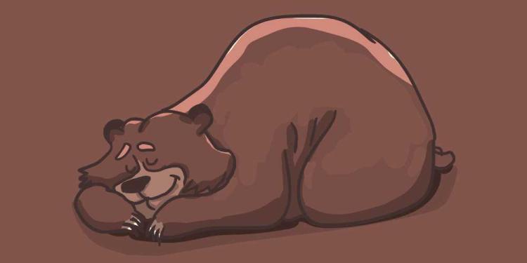 Fat Bear Week 2026 Betting Guide – The Bears, Odds and Dates!