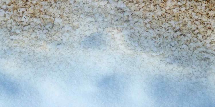 Movies For Gamblers During Christmas 2025 – The Golden Picks