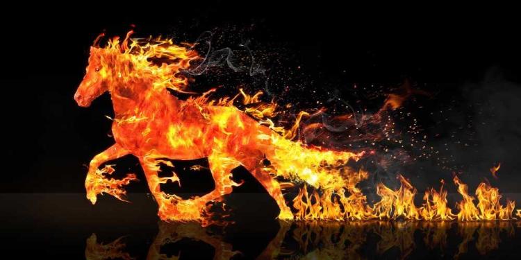 Top 6 Sports With Horses – The World Offers More Than Racing!