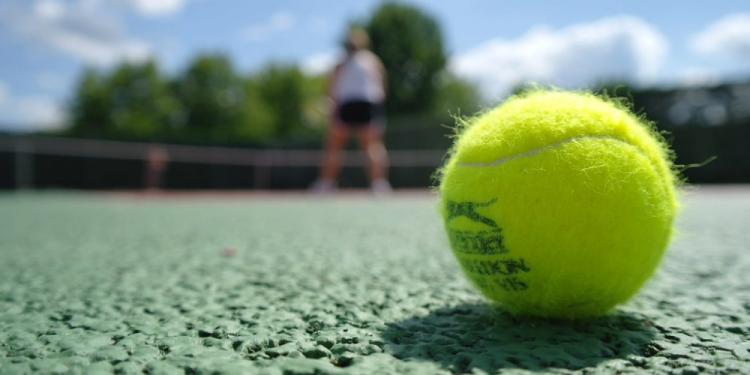 Everything You Need To Know To Bet On Table Tennis