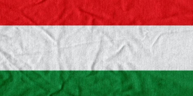 A Deep Dive Into the Casino Mafia of Hungary