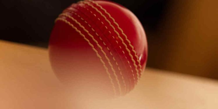 Choosing the Best AstroPay Cricket Betting Sites in India