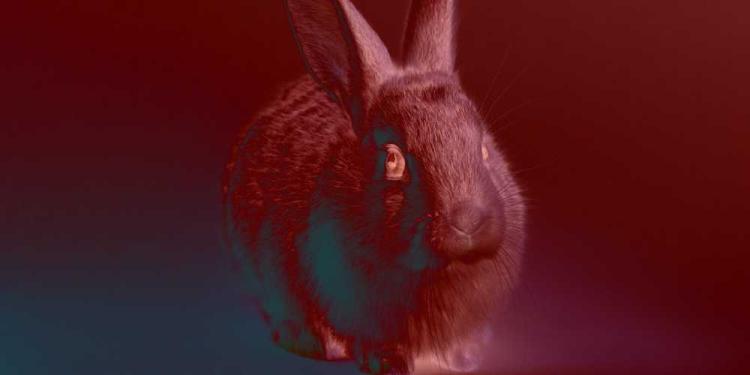 Bad Bunny Scandal: The Controversial Super Bowl Performance