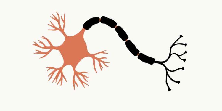 Claude 5 For Gamblers: Testing The Limits Of An AI Building-tool!