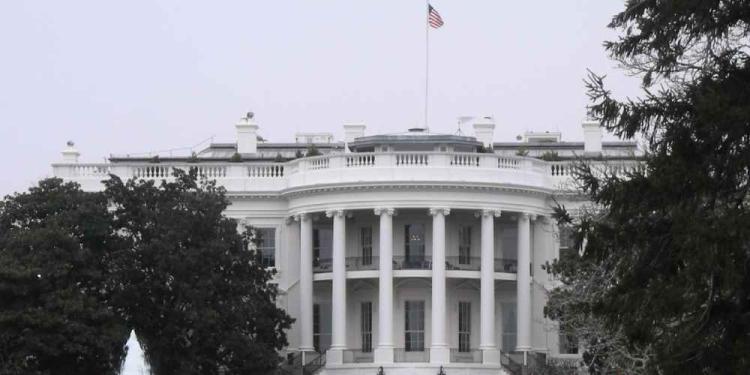 White House UFC Fight: About The News And Rumors For Bettors