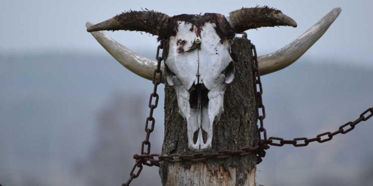 The 7 Totems of Las Vegas: Become A Vegas Citizen Spiritually!