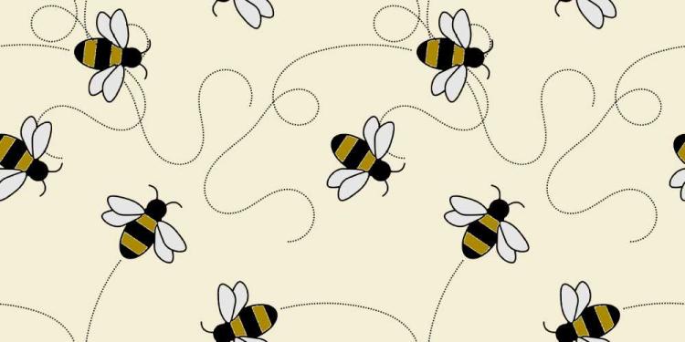 Best Slots For The World Bee Day In 2026: Bee The Winner Today!