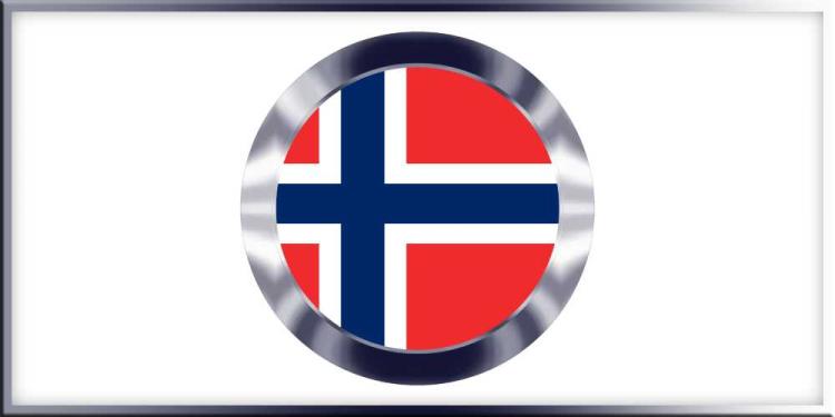 Erling Haaland Fun Facts: The Rapper, The Sleeper, The Player