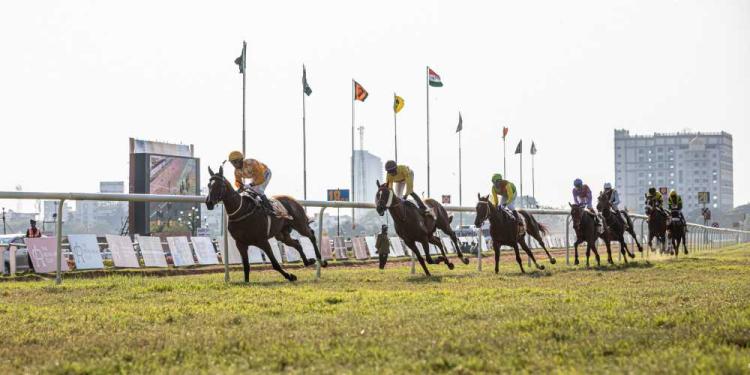 Racetracks In Canada For Betting: Pick The Most Fitting Tracks!