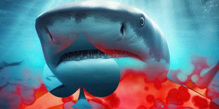 Tips on Finding Weak Players in Poker at Online Casinos: Be A Shark