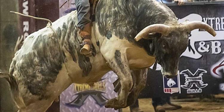 PBR Teams Series Championship 2026 Odds: Bet On Bull Riding