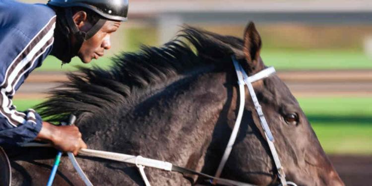 How Wind Conditions and Horse Racing Shape Your Bets