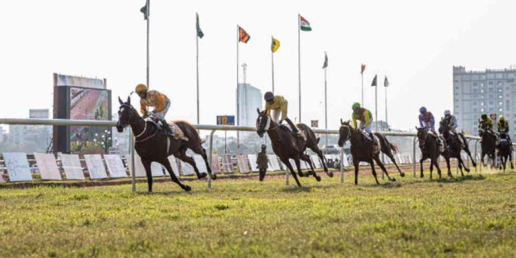 How to Make a Profit by Betting on the 2026 Breeders Cup