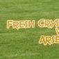 Fresh Crystal Palace v Arsenal Betting Tips
