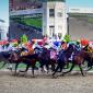 Kentucky Derby 2023 Predictions