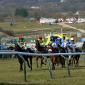 Cheltenham Festival 2024 Betting Odds, Markets, And Runners
